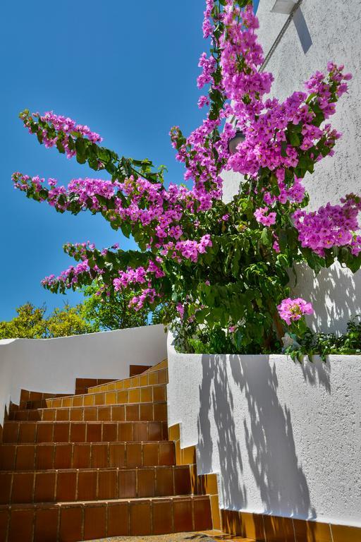 Bella Vista Apartments Crikvenica Extérieur photo